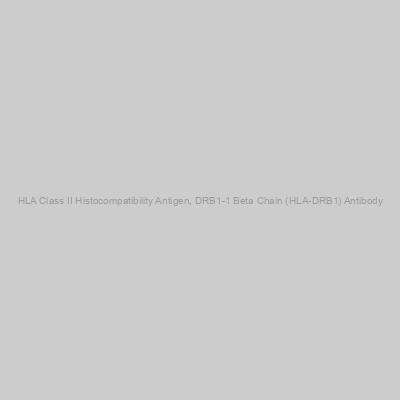 Abbexa - HLA Class II Histocompatibility Antigen, DRB1-1 Beta Chain (HLA-DRB1) Antibody